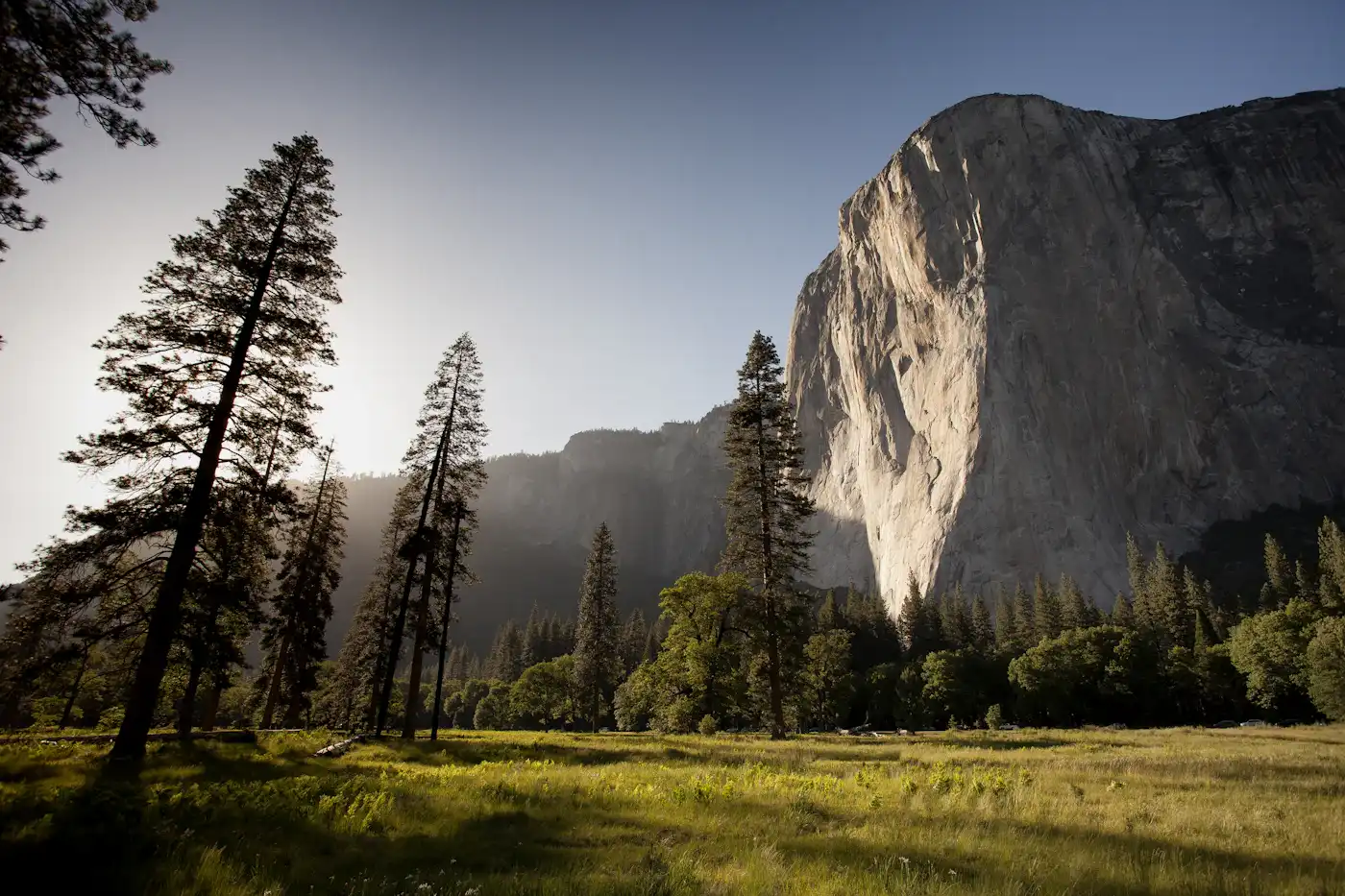Aerial forest and mountain landscape