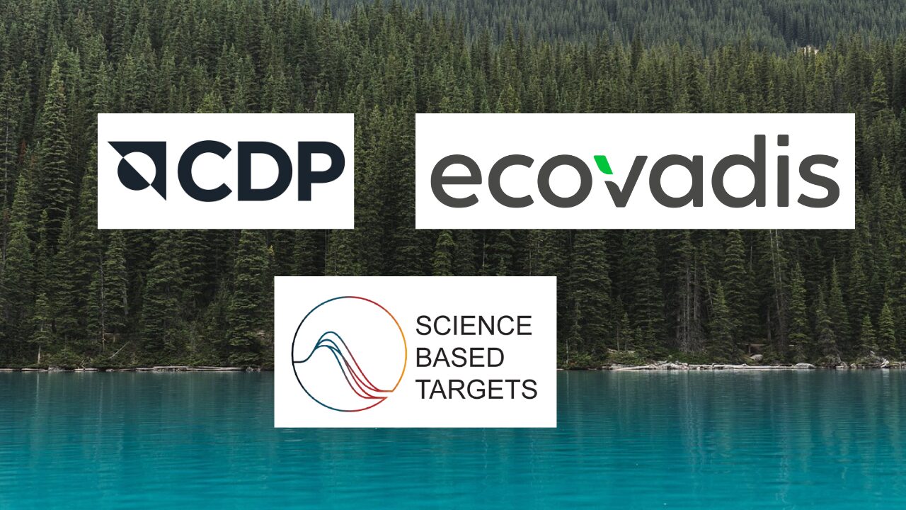 CDP, EcoVadis, SBTi Services